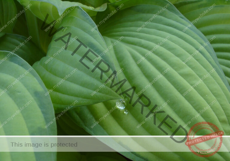 Garten - Regentropfen, Funktie