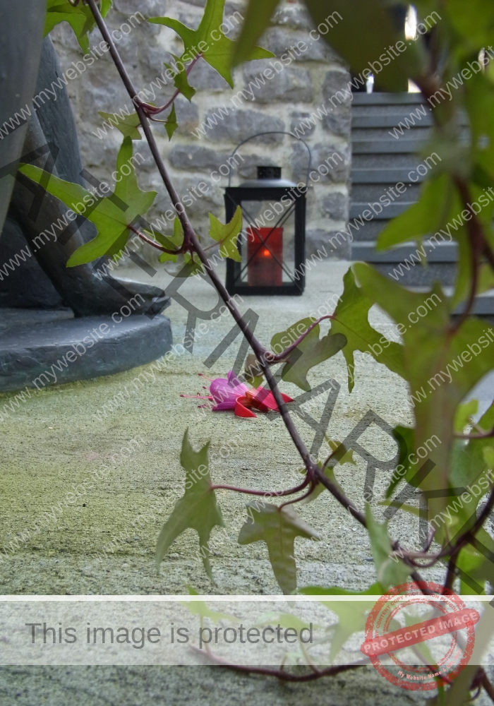 Heiligenbronn Brunnen5