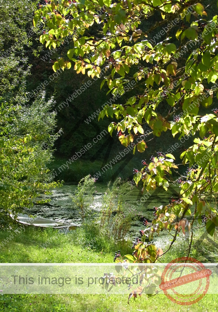 Waldsee Lützenhardt11