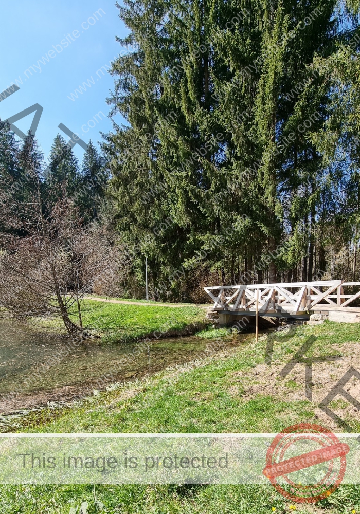 Waldsee Lützenhardt16