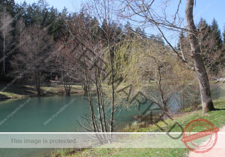 Waldsee Lützenhardt19