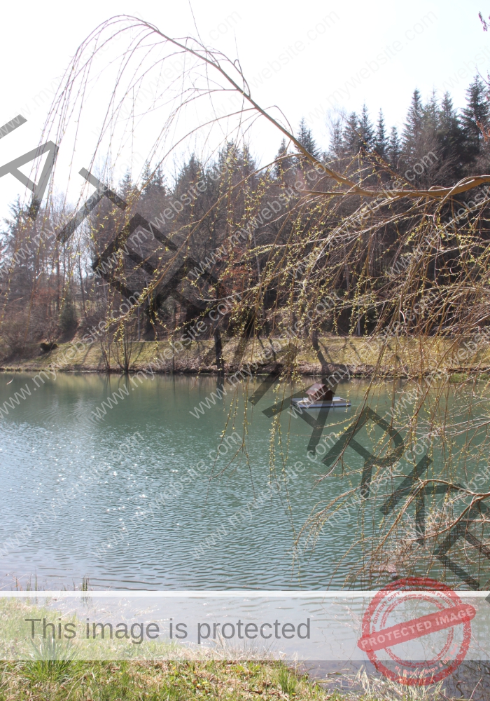 Waldsee Lützenhardt20