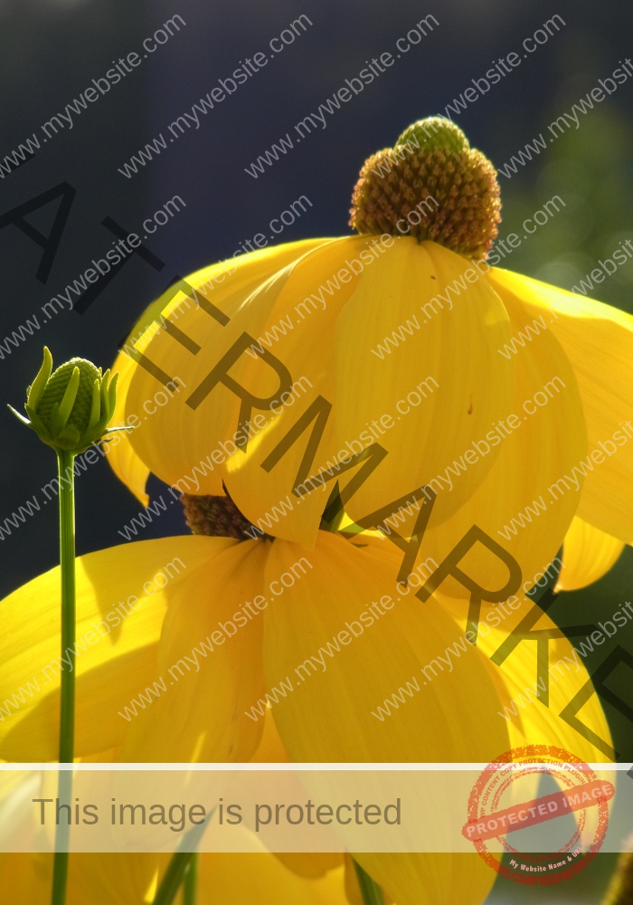 lb - Garten Heiligenbronn