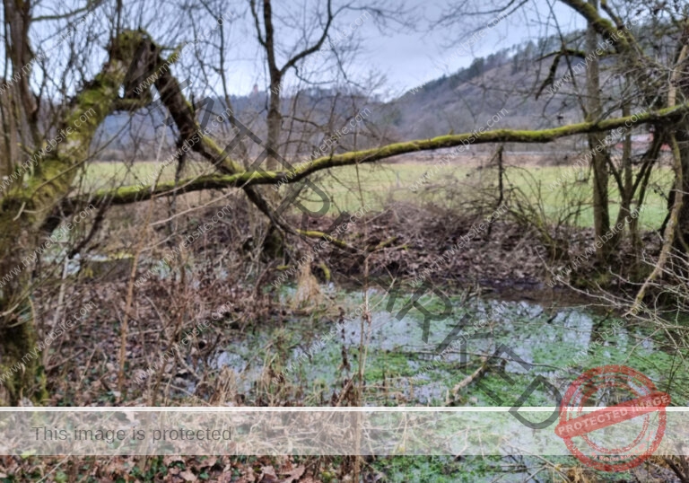 ruH - Egelstal 12.afphoto