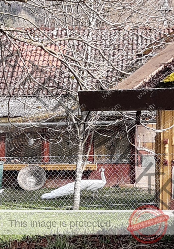 ruH - Egelstal 12h