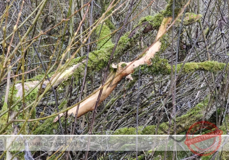 ruH - Egelstal 16.afphoto