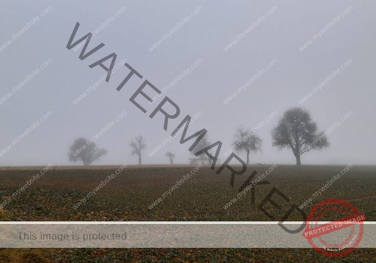 ruh - Hohenberg-Runde 10
