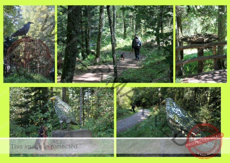 2019-09-18 Krabbenweg 02 (Mittel)