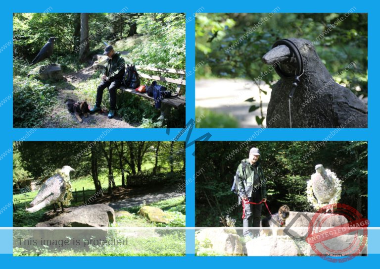 2019-09-18 Krabbenweg 06 (Mittel)