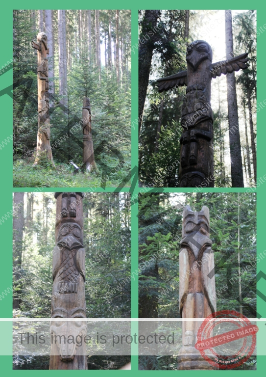 2019-09-18 Krabbenweg 07 (Mittel)
