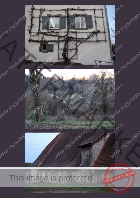 2019-12-06 Kloster Kirchberg 09f