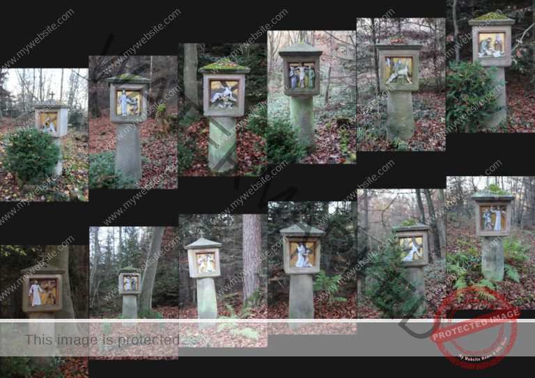 2020-11-14 Marienkapelle 04f