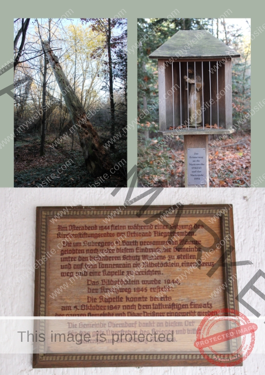 2020-11-14 Marienkapelle 05f