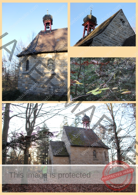 2020-11-14 Marienkapelle 07f