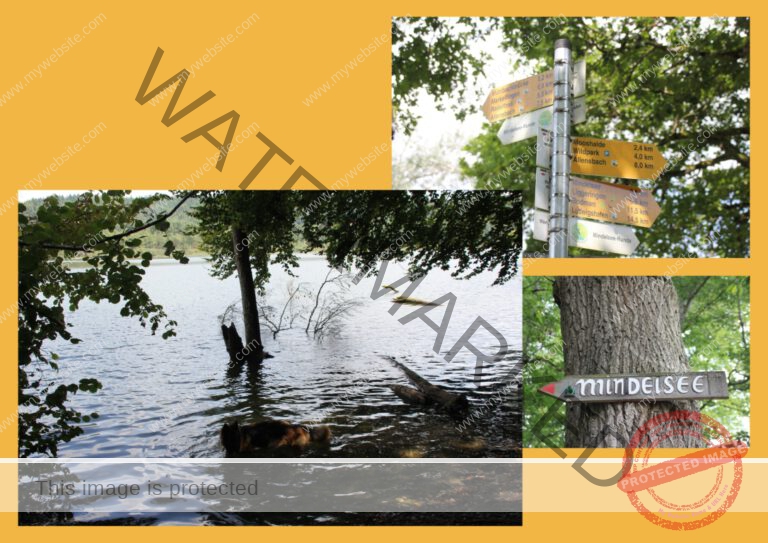 2021-08-26 Mindelsee 02