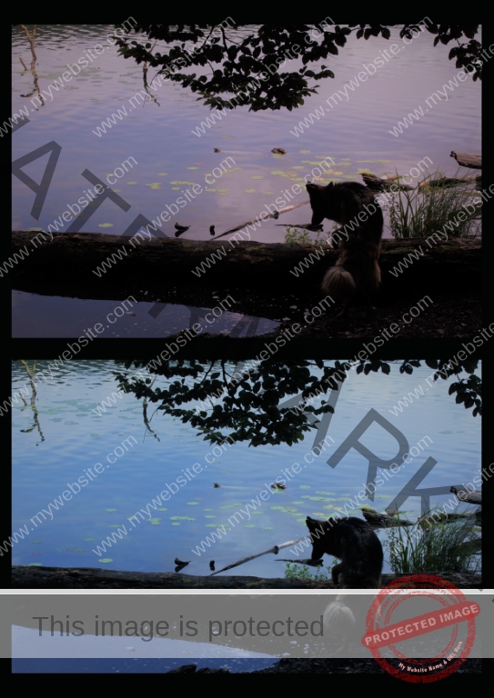 2021-08-26 Mindelsee 04