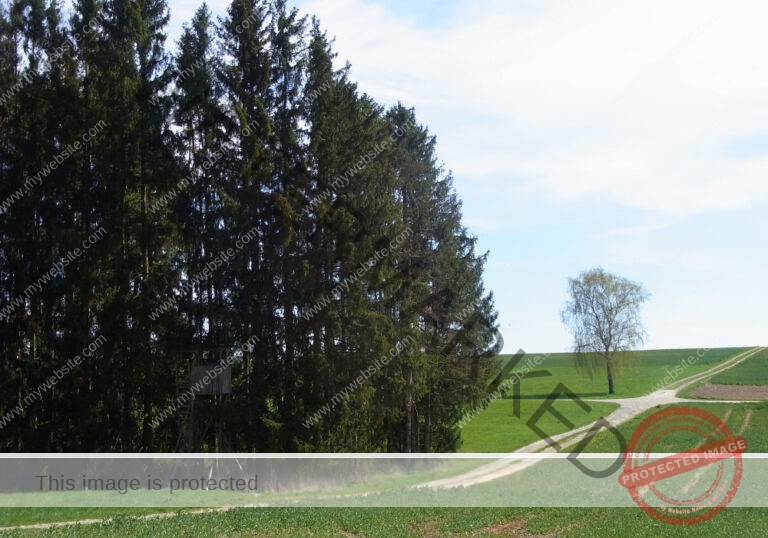 Bodenloser See, Empfingen 029