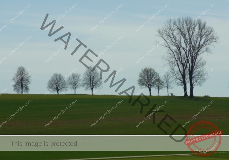 Bodenloser See, Empfingen 035
