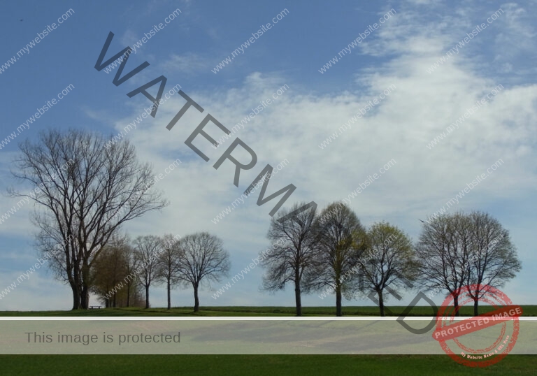 Bodenloser See, Empfingen 046