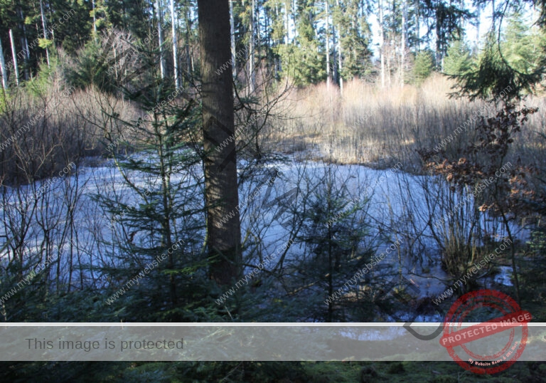 Bodenloser See, Empfingen 05