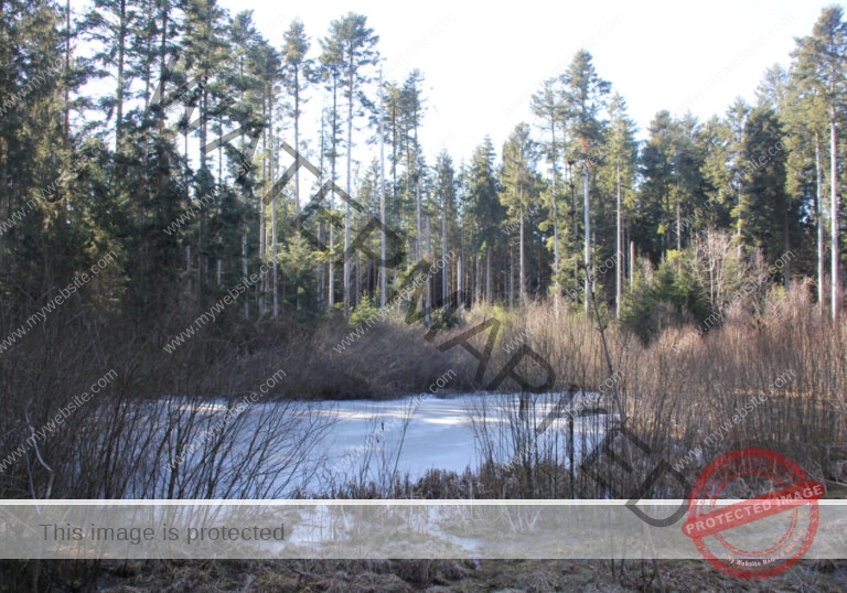 Bodenloser See, Empfingen 07