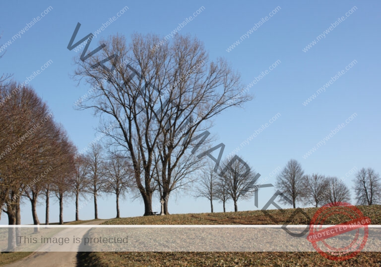 Bodenloser See, Empfingen 12