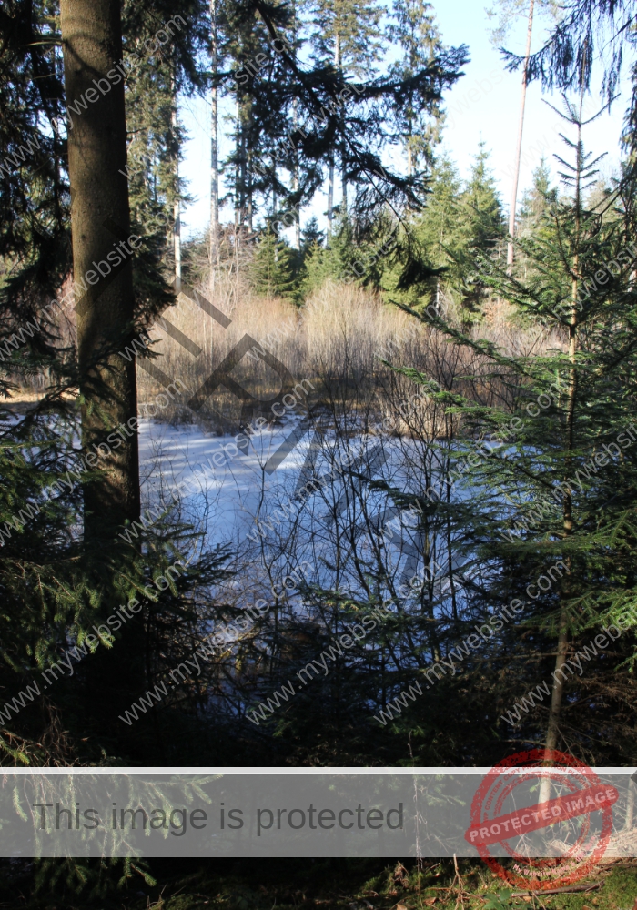 Bodenloser See, Empfingen 18