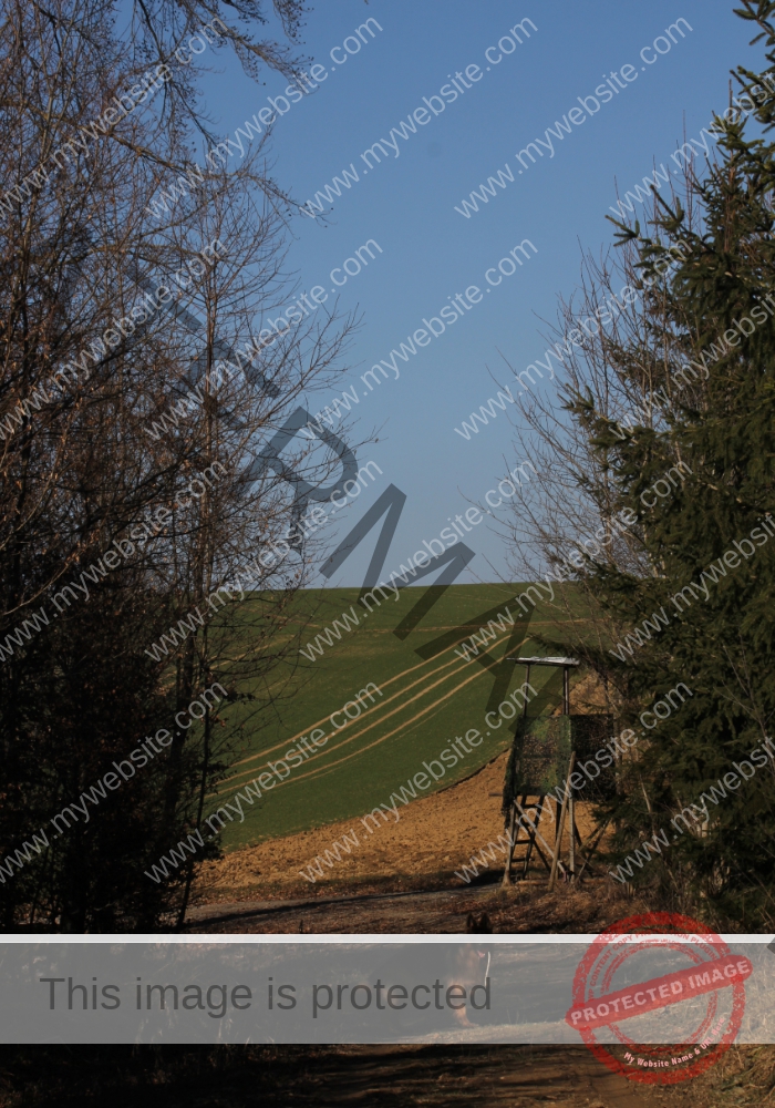 Bodenloser See, Empfingen 21