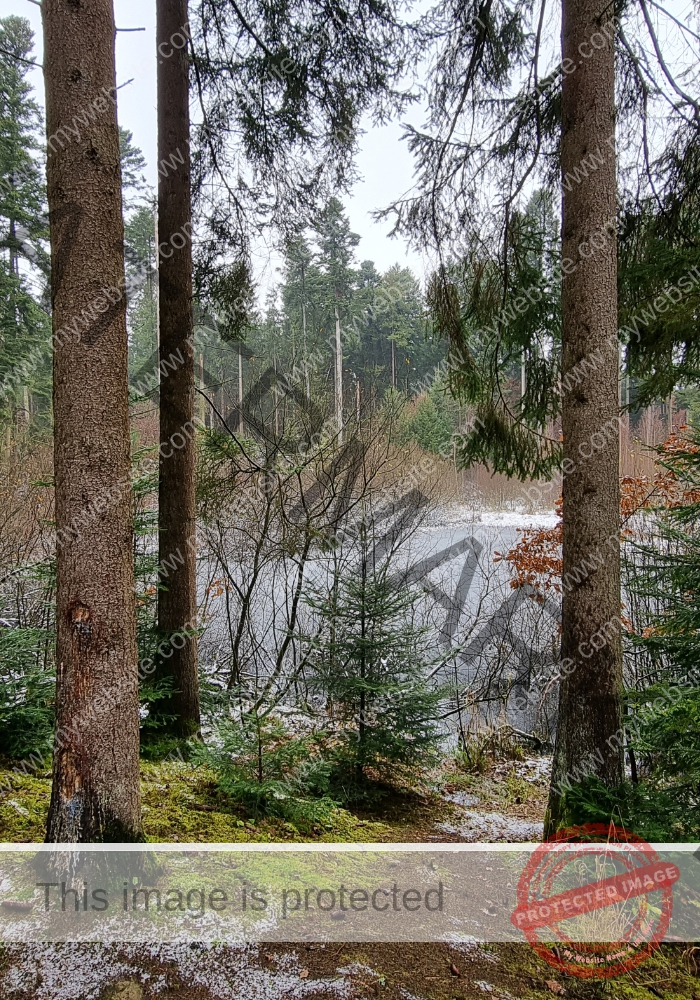 Bodenloser See, Empfingen 24