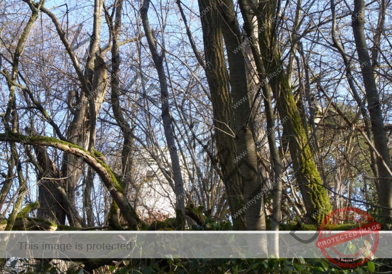 Heuberger Warte 17