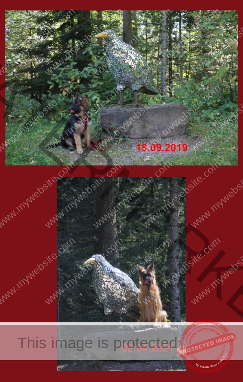 Krabbenweg Unterschied