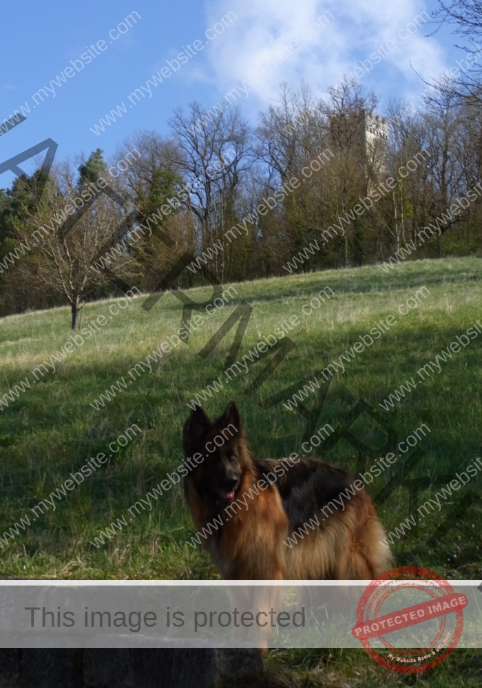 Weilerburg 01