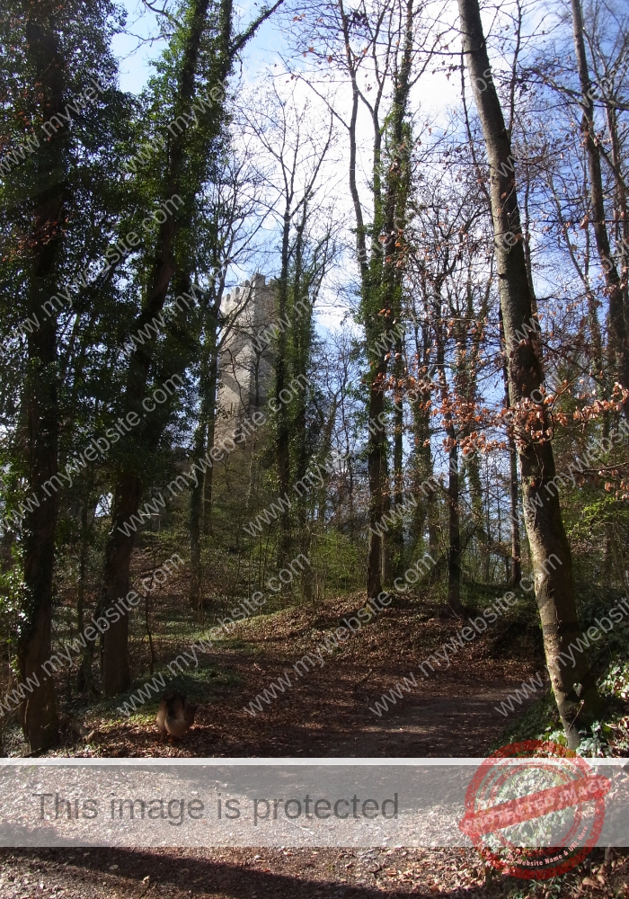 Weilerburg 02