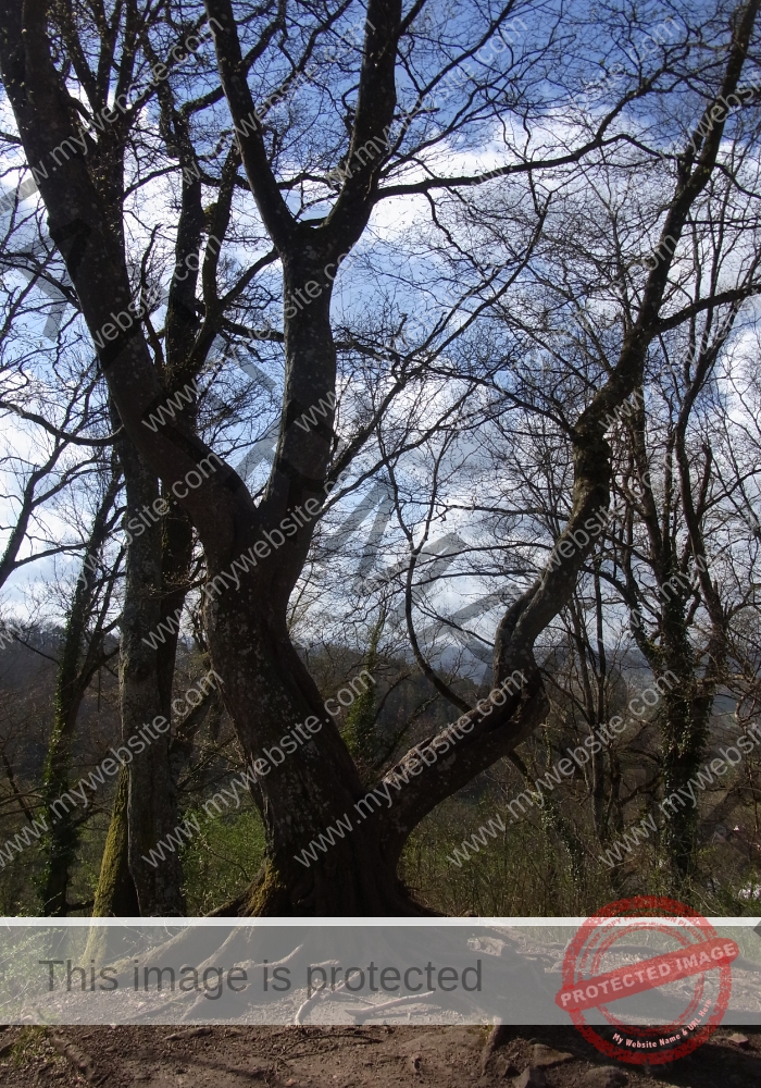 Weilerburg 13