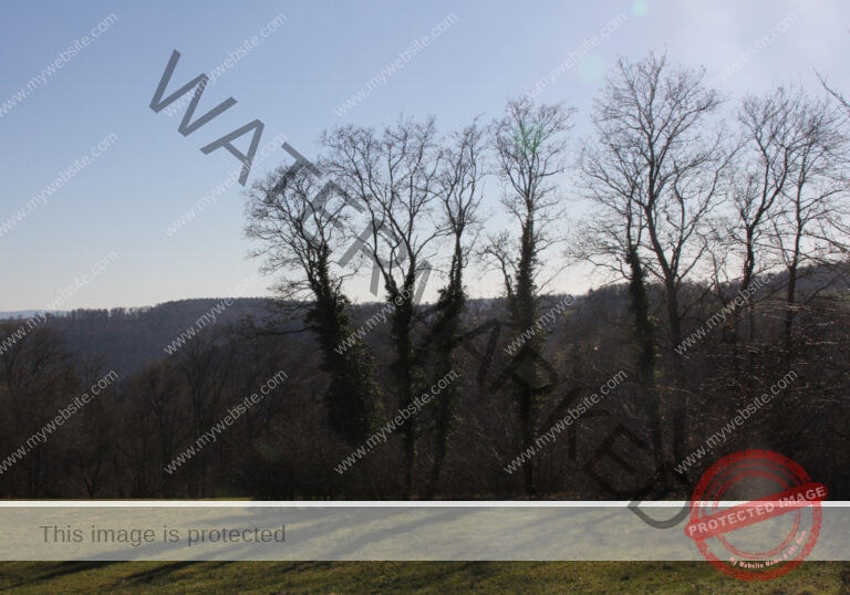 ruh -Schütte 18