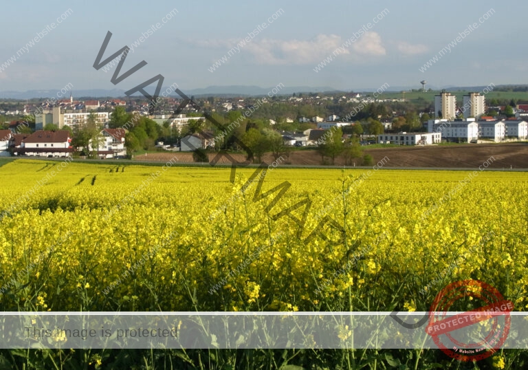 ruh - Hohenberg-Runde 27