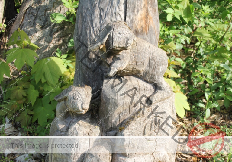 udNeckar - 08.05.2022 - 10