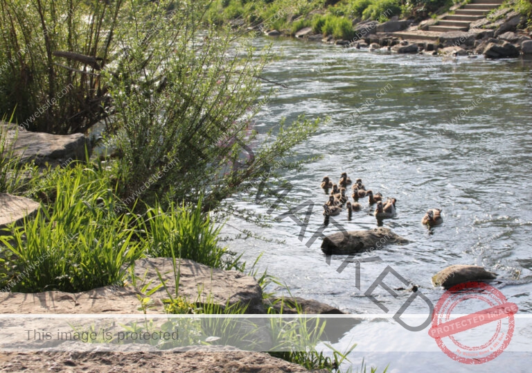 udNeckar - 08.05.2022 - 16
