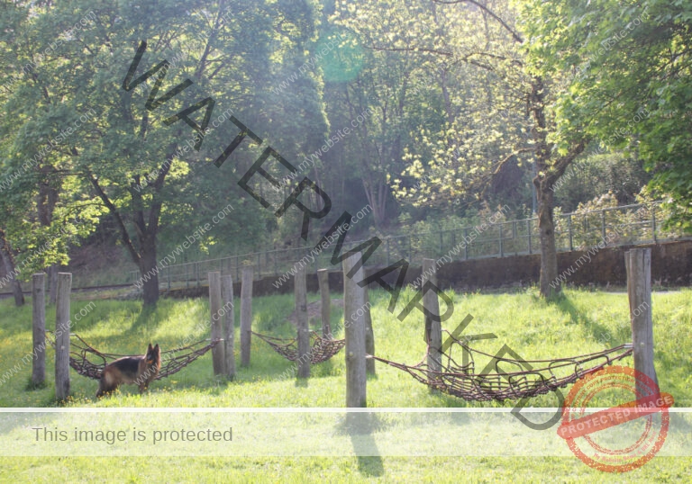 udNeckar - 08.05.2022 - 29