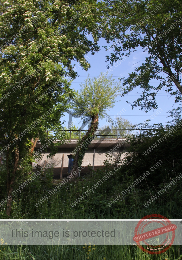 udNeckar - 08.05.2022 - 36