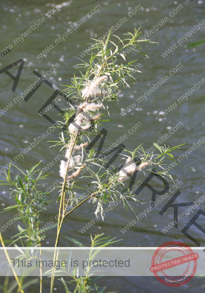 udNeckar - 08.05.2022 - 37