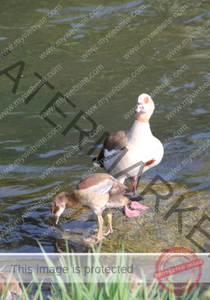 udNeckar - 08.05.2022 - 39