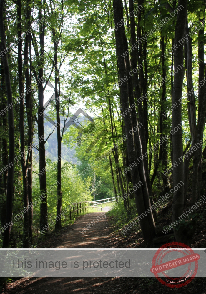 udNeckar - 08.05.2022 - 41