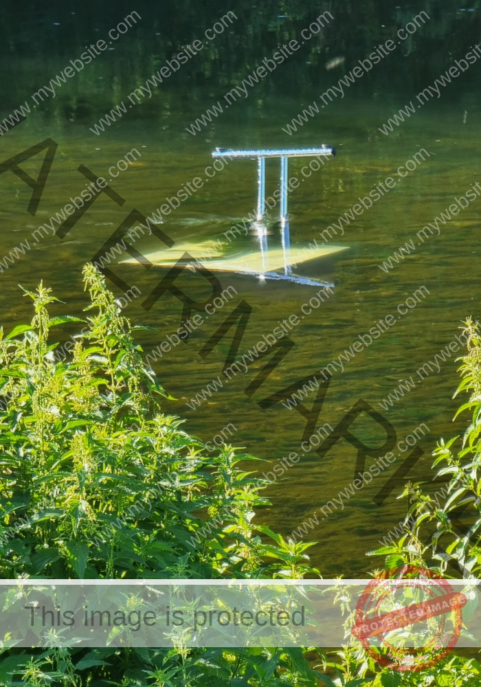 udNeckar - 26.06.2022 - 04
