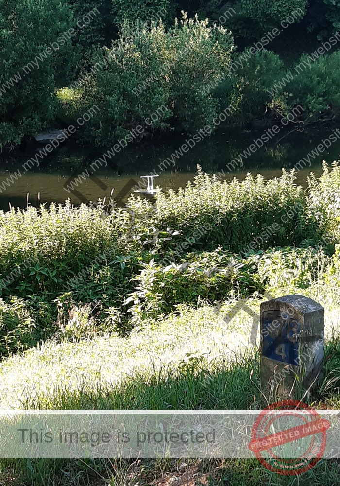 udNeckar - 26.06.2022 - 05