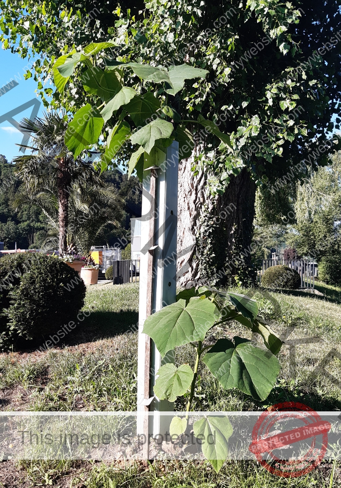 udNeckar - 26.06.2022 - 11