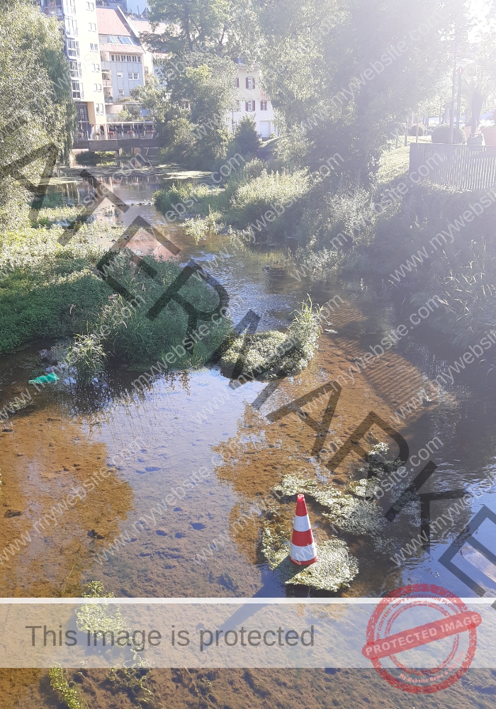 udNeckar - 26.06.2022 - 12