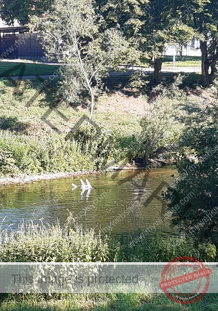 udNeckar - 26.06.2022 - 14