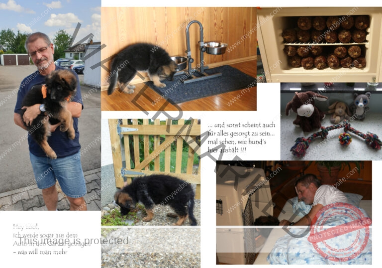 27.07.2019: und nun im neuen Zuhause