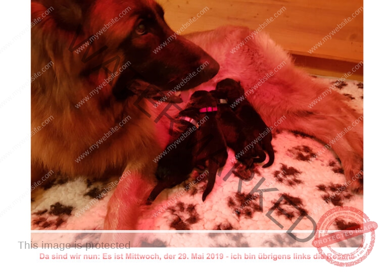 Geburtsbild